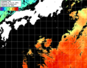 ひまわり人工衛星:黒潮域,12:59JST,1時間合成画像