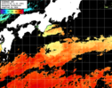 ひまわり人工衛星:黒潮域,20:59JST,1時間合成画像