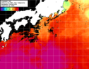 NOAA人工衛星画像:黒潮域, 1日合成画像(2024/11/01UTC)