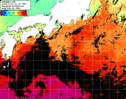 ひまわり人工衛星:黒潮域,12:59JST,1時間合成画像