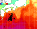 NOAA人工衛星画像:黒潮域, 1日合成画像(2024/11/04UTC)