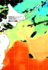 NOAA人工衛星画像:親潮域, 1日合成画像(2024/11/04UTC)