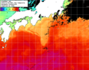 NOAA人工衛星画像:黒潮域, 1日合成画像(2024/11/05UTC)