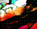 ひまわり人工衛星:黒潮域,11:59JST,1時間合成画像