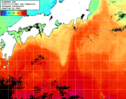 NOAA人工衛星画像:黒潮域, 1日合成画像(2024/11/07UTC)