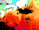 NOAA人工衛星画像:黒潮域, 1日合成画像(2024/11/08UTC)