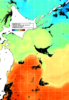 NOAA人工衛星画像:親潮域, 1日合成画像(2024/11/10UTC)
