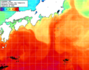 NOAA人工衛星画像:黒潮域, 1日合成画像(2024/11/12UTC)