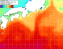 NOAA人工衛星画像:黒潮域, 1週間合成画像(2024/11/06～2024/11/12UTC)
