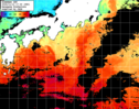 ひまわり人工衛星:黒潮域,02:59JST,1時間合成画像
