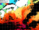 ひまわり人工衛星:黒潮域,04:59JST,1時間合成画像