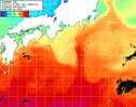 NOAA人工衛星画像:黒潮域, 1日合成画像(2024/11/13UTC)