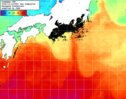 NOAA人工衛星画像:黒潮域, 1日合成画像(2024/11/14UTC)