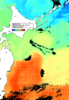 NOAA人工衛星画像:親潮域, 1日合成画像(2024/11/15UTC)