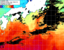 NOAA人工衛星画像:黒潮域, 1日合成画像(2024/11/16UTC)