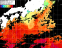 ひまわり人工衛星:黒潮域,12:59JST,1時間合成画像