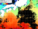 NOAA人工衛星画像:黒潮域, 1日合成画像(2024/11/19UTC)