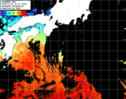 ひまわり人工衛星:黒潮域,12:59JST,1時間合成画像