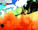 NOAA人工衛星画像:黒潮域, 1日合成画像(2024/11/20UTC)