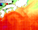 NOAA人工衛星画像:黒潮域, 1日合成画像(2025/06/21UTC)