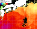 NOAA人工衛星画像:黒潮域, 1日合成画像(2025/06/24UTC)