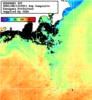 NOAA人工衛星画像:神奈川県近海, 1日合成画像(2025/08/13UTC)