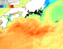 NOAA人工衛星画像:黒潮域, 1日合成画像(2025/08/13UTC)