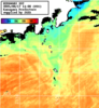 ひまわり人工衛星:神奈川県近海,23:59JST,1時間合成画像
