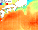 NOAA人工衛星画像:黒潮域, 1日合成画像(2025/08/17UTC)