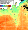ひまわり人工衛星:神奈川県近海,10:59JST,1時間合成画像