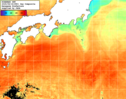 NOAA人工衛星画像:黒潮域, 1日合成画像(2025/08/18UTC)