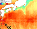 NOAA人工衛星画像:黒潮域, 1日合成画像(2025/08/19UTC)