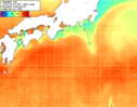 NOAA人工衛星画像:黒潮域, 1週間合成画像(2025/08/15～2025/08/21UTC)