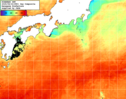 NOAA人工衛星画像:黒潮域, 1日合成画像(2025/08/22UTC)