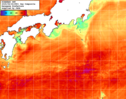 NOAA人工衛星画像:黒潮域, 1日合成画像(2025/08/24UTC)