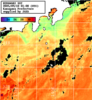 ひまわり人工衛星:神奈川県近海,10:59JST,1時間合成画像