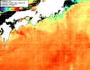 NOAA人工衛星画像:黒潮域, 1日合成画像(2025/09/13UTC)