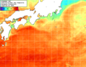 NOAA人工衛星画像:黒潮域, 1日合成画像(2025/09/15UTC)