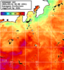 ひまわり人工衛星:神奈川県近海,11:59JST,1時間合成画像