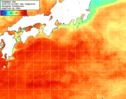 NOAA人工衛星画像:黒潮域, 1日合成画像(2025/09/16UTC)