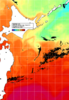 NOAA人工衛星画像:親潮域, 1日合成画像(2025/09/18UTC)