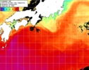 NOAA人工衛星画像:黒潮域, 1日合成画像(2025/10/04UTC)