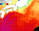 NOAA人工衛星画像:黒潮域, 1日合成画像(2025/10/05UTC)