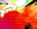 NOAA人工衛星画像:黒潮域, 1日合成画像(2025/10/06UTC)