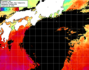 NOAA人工衛星画像:黒潮域, 1日合成画像(2025/10/08UTC)