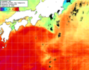 NOAA人工衛星画像:黒潮域, 1日合成画像(2025/10/09UTC)