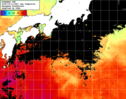 NOAA人工衛星画像:黒潮域, 1日合成画像(2025/10/11UTC)