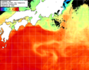 NOAA人工衛星画像:黒潮域, 1日合成画像(2025/10/13UTC)
