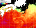 NOAA人工衛星画像:黒潮域, 1日合成画像(2025/10/14UTC)