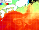 NOAA人工衛星画像:黒潮域, 1日合成画像(2025/10/16UTC)